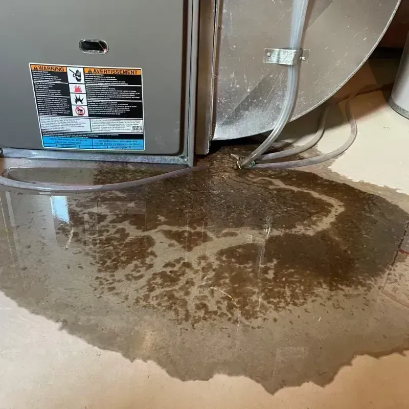 Appliance Leak Cleanup in Putnam County, IL